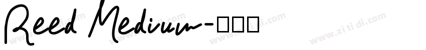 Reed Medium字体转换